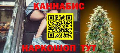 прущие крисы Малгобек